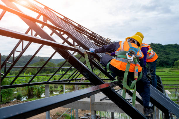 Best Roof Gutter Cleaning  in Shelby, MS